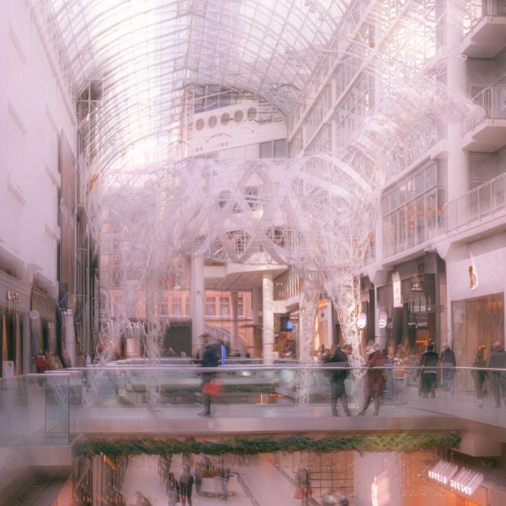 Family-friendly shopping and daily life in United States