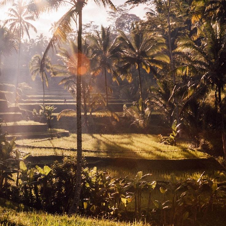 Kids playground area in United States